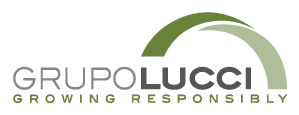 Grupo Lucci